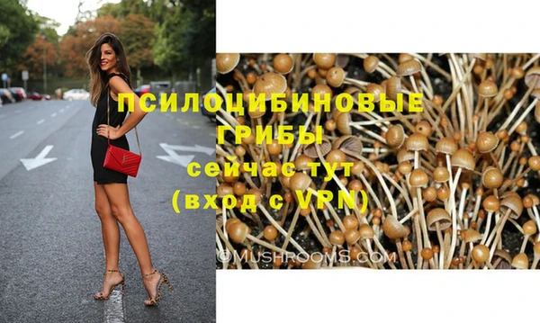 скорость Богородицк